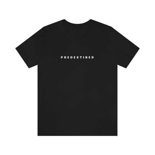 Predestined Affirmation Tee